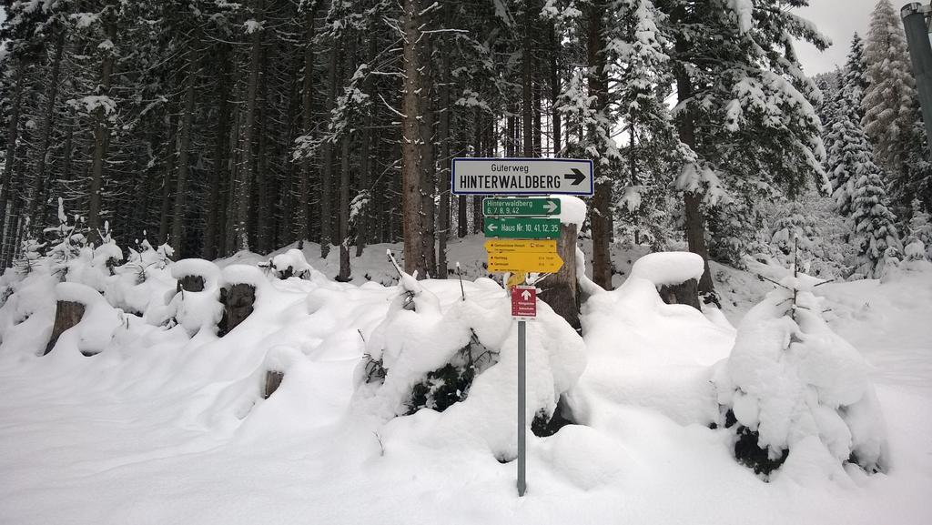 Appartement Reitlhof Wald im Pinzgau Exteriör bild