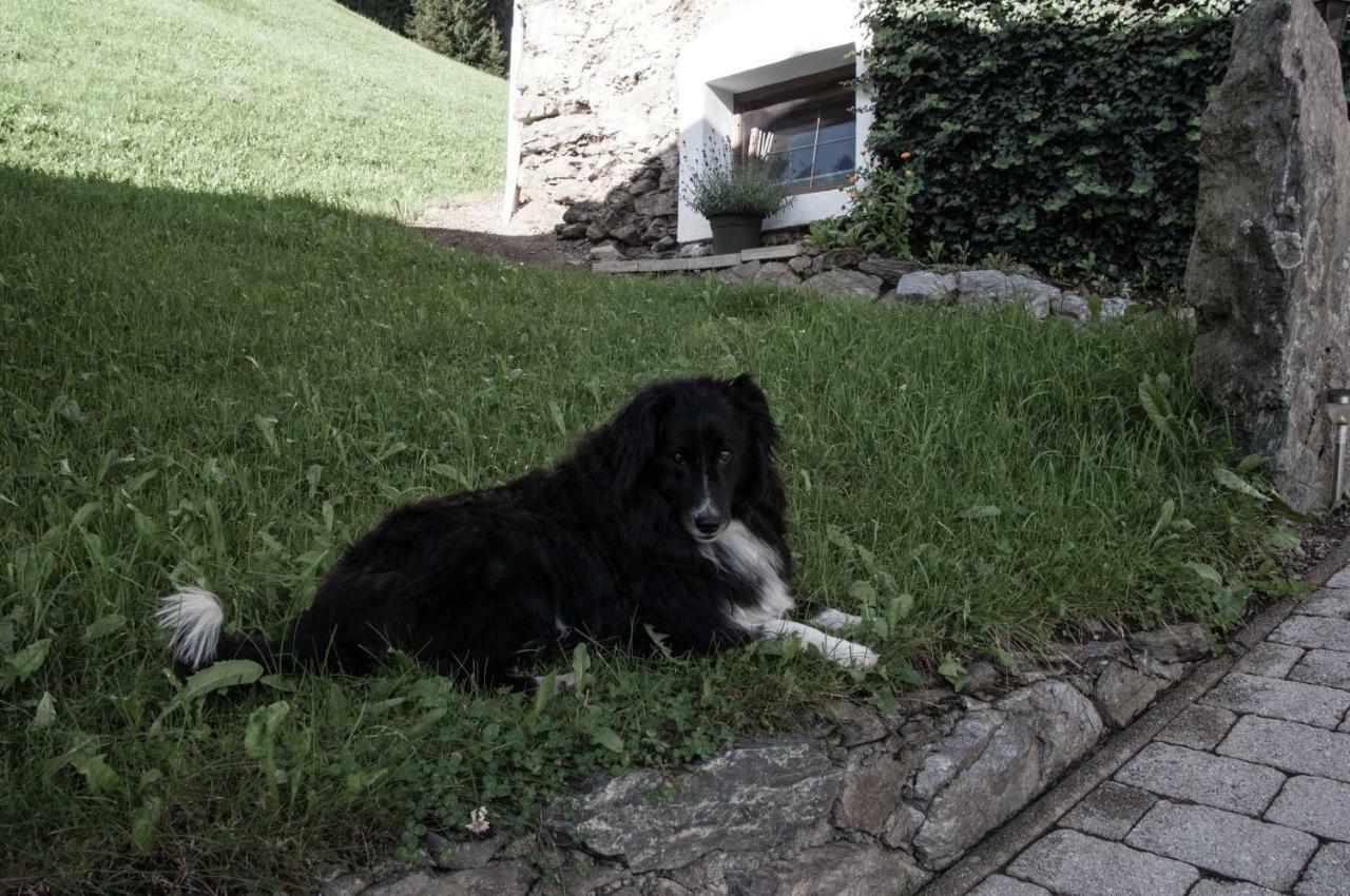 Appartement Reitlhof Wald im Pinzgau Exteriör bild